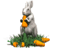rabbit_eating_carrot_sw.gif