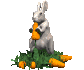 rabbit_eating_carrot_sc.gif