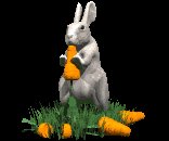 rabbit_eating_carrot_lc.gif