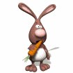rabbit_chewing_carrot_mw.gif