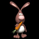 rabbit_chewing_carrot_mc.gif