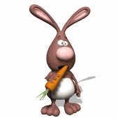 rabbit_chewing_carrot_lw.gif