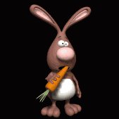 rabbit_chewing_carrot_lb.gif