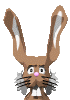ears_lc.gif