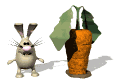 bunny_realhappy_mw.gif