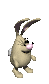 bunny_jumping_sc.gif