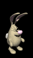 bunny_jumping_mb.gif