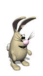 bunny_jumping_lw.gif