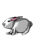 bunny_hop_mw.gif