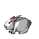 bunny_hop_mc.gif