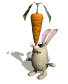 bunny_balancing_sw.gif