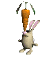 bunny_balancing_sc.gif