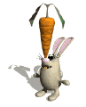 bunny_balancing_mw.gif