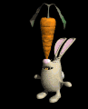 bunny_balancing_mb.gif