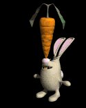 bunny_balancing_lb.gif