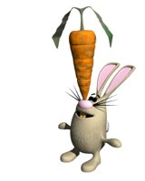 bunny_balancing_hr.jpg