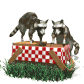 raccoons_in_picnicbas_a_sw.gif