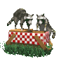 raccoons_in_picnicbas_a_sc.gif