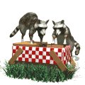 raccoons_in_picnicbas_a_mw.gif