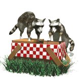 raccoons_in_picnicbas_a_lw.gif