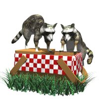 raccoons_in_picnicbas_a_hr.jpg
