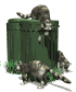 raccoons_in_garbage_sw.gif