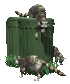 raccoons_in_garbage_sc.gif