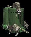 raccoons_in_garbage_mc.gif