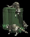 raccoons_in_garbage_mb.gif