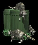 raccoons_in_garbage_lc.gif