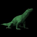 komodo_lb.gif
