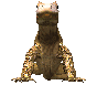 komodo_dragon_encount_a_sc.gif