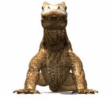 komodo_dragon_encount_a_lw.gif
