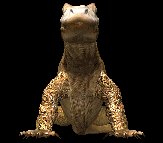 komodo_dragon_encount_a_lc.gif