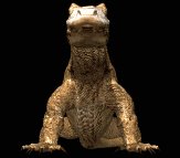komodo_dragon_encount_a_lb.gif