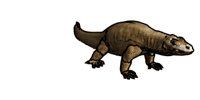 komodo_dragon_closeup_tail_wip_toon_w.gif