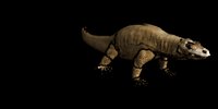 komodo_dragon_closeup_tail_wip_toon_b.gif