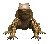 komodo_dragon_closeuc_tc.gif