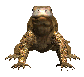 komodo_dragon_closeuc_sc.gif