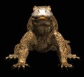 komodo_dragon_closeuc_mb.gif