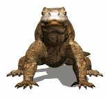 komodo_dragon_closeuc_lw.gif