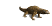 komodo_dragon_closeub_tw.gif