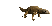 komodo_dragon_closeub_tc.gif