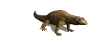 komodo_dragon_closeub_sw.gif
