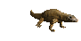 komodo_dragon_closeub_sc.gif
