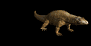 komodo_dragon_closeub_sb.gif