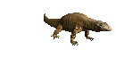 komodo_dragon_closeub_mc.gif