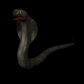 king_cobra_flick_tounge_sb.gif