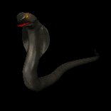 king_cobra_flick_tounge_lc.gif