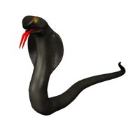 king_cobra_flick_tounge_hr.jpg